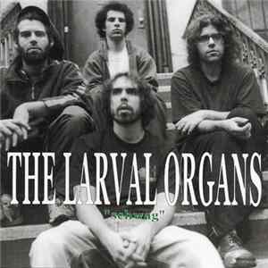 The Larval Organs - "Schwag" Mp3