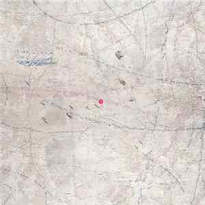 Joel R. L. Phelps & The Downer Trio - Blackbird Mp3