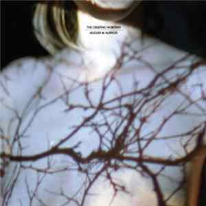 The Creeping Nobodies - Augurs & Auspices Mp3