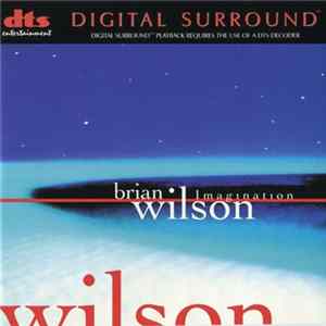 Brian Wilson - Imagination Mp3