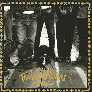 The Wallflowers - The Wallflowers Mp3