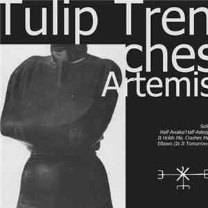 Tulip Trenches - Artemis Mp3