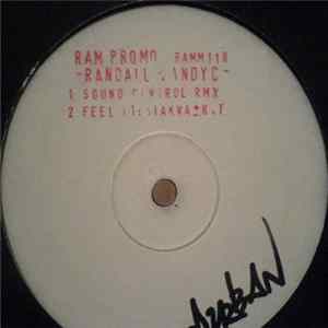 Randall & Andy C - Sound Control / Feel It (Rmxs) Mp3