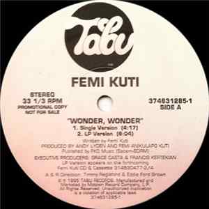 Femi Kuti - Wonder, Wonder Mp3