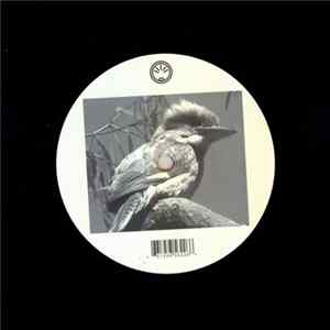 Heckmann & Kauffelt - Kookaburra / Klapperspecht Mp3