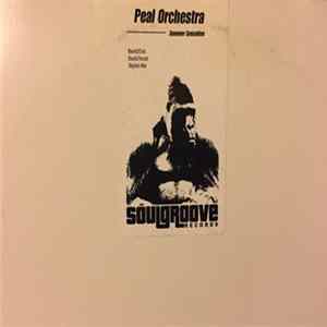 Peal Orchestra - Summer Sensation Mp3