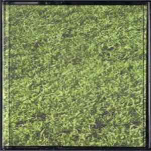 I Should've Torn Out Your Eyes / TGG - I Should've Torn Out Your Eyes / Pondering August Mp3