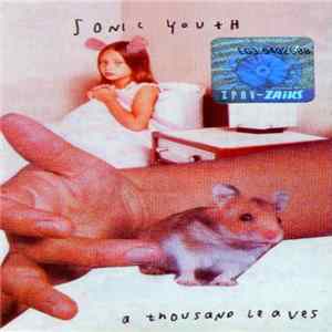 Sonic Youth - A Thousand Leaves Mp3