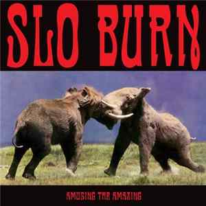 Slo Burn - Amusing The Amazing Mp3