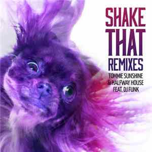 Tommie Sunshine & Halfway House Feat. DJ Funk - Shake That Remixes Mp3
