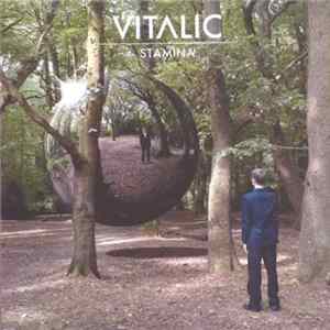 Vitalic - Stamina Mp3