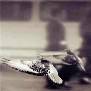 Josh Furey - Archaeology Mp3