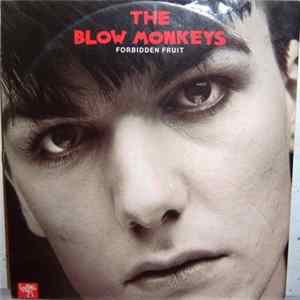 The Blow Monkeys - Forbidden Fruit Mp3