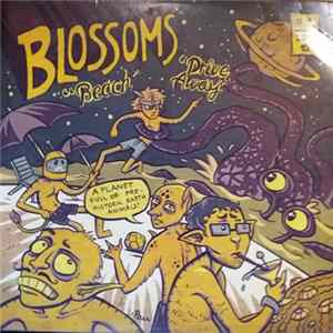 Blossoms - Beach Mp3