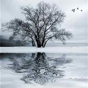 Sonus Umbra - Winter Soulstice Mp3