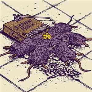 Elephant Phinix / JKone - The Providers Mp3