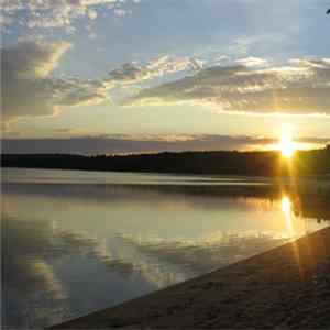 Resting Cell - Akinetes In The Sand Mp3