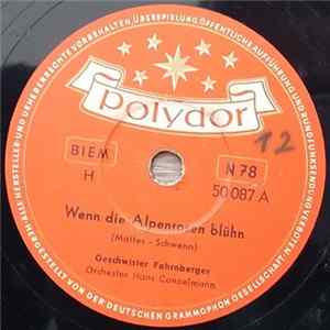 Geschwister Fahrnberger - Wenn Die Alpenrosen Blühn / Der Jodelnde Jäger Mp3