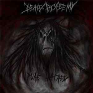 Death Academy - Pure Hatred Mp3