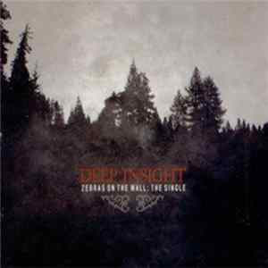 Deep Insight - Zebras On The Wall Mp3