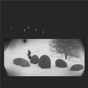 Ptáci - Sbírka Motivů / Motive Collection Mp3