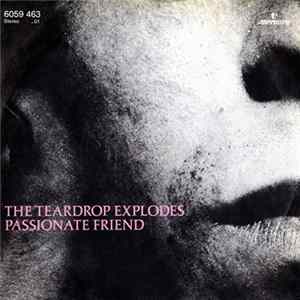 The Teardrop Explodes - Passionate Friend Mp3
