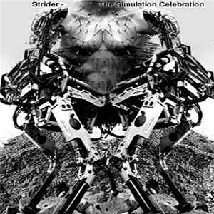 Strider - The Simulation Celebration Mp3