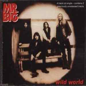 Mr. Big - Wild World Mp3