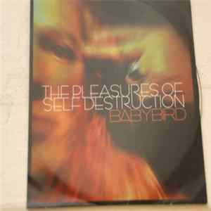 Babybird - The Pleasures Of Self Destruction Mp3