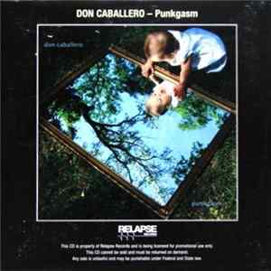 Don Caballero - Punkgasm Mp3