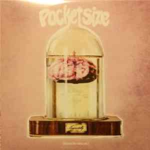 Pocket Size - Immortality - Cleaning The Mirror, Volume 2 Mp3