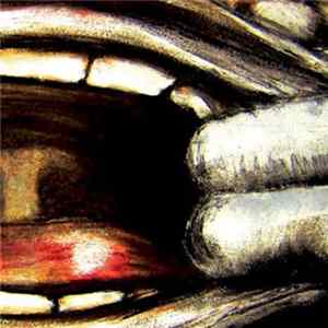 No Life Orchestra - Friday People Mp3