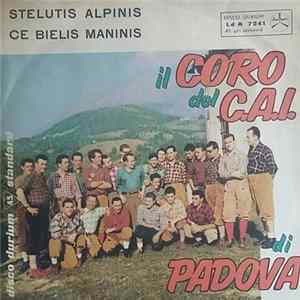 Il Coro Del C.A.I. Di Padova - Stelutis Alpinis / Ce Bielis Maninis Mp3