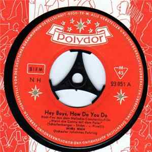 Micky Main - Hey Boys, How Do You Do Mp3