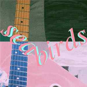 Pizzagirl - Seabirds Mp3