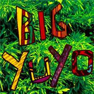 Los Pericos - Big Yuyo Mp3
