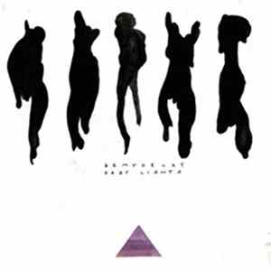 Bemydelay - Hazy Lights Mp3