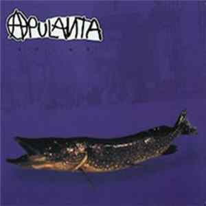 Apulanta - Kolme Mp3