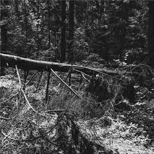 Void Forger - Ruined Demo Mp3
