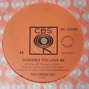 The Tremeloes - Suddenly You Love Me Mp3