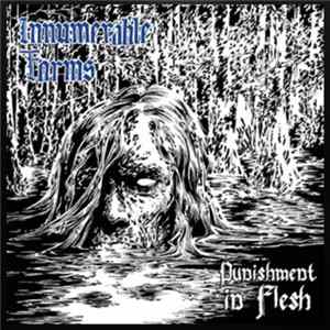 Innumerable Forms - Punishment In Flesh Mp3