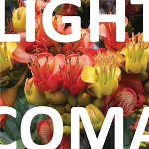 Light Coma - Concord Mp3