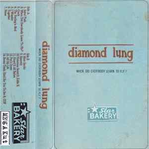 Diamond Lung - When Did Everybody Learn To Fly? Mp3