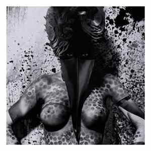 UNKLE And Warren Du Preez & Nick Thornton Jones - When The Night Falls (Caged Bird) Mp3