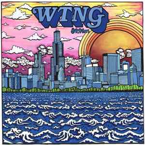 Various - WTNG 89.9 FM: Solid Bronze Mp3