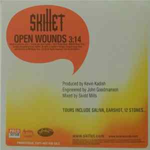 Skillet - Open Wounds Mp3