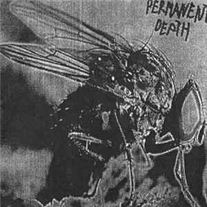 Permanent Death / Headcrash - Untitled / The Dirt In My Hands Mp3
