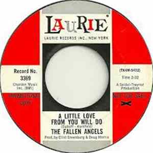 The Fallen Angels - A Little Love From You Will Do Mp3