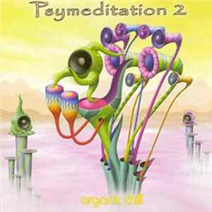 Various - Psymeditation 2 Mp3