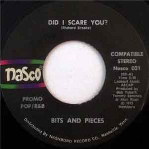 Bits And Pieces - Did I Scare You? Mp3